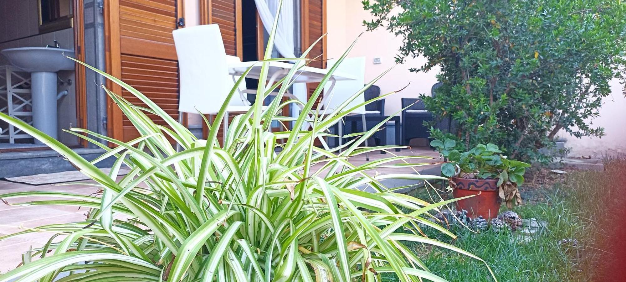 Casa Lilla 1 E 2 Daire Oristano Dış mekan fotoğraf